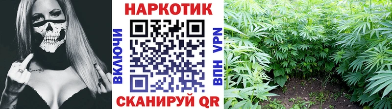 Наркотические вещества Динская Каннабис  СК  ГАШ  Мефедрон  kraken ТОР  КОКАИН 