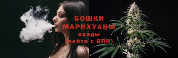 шишки Богданович