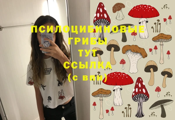 синтетический гашиш Осташков