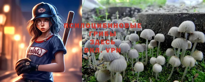 Галлюциногенные грибы Magic Shrooms  блэк спрут рабочий сайт  Динская 