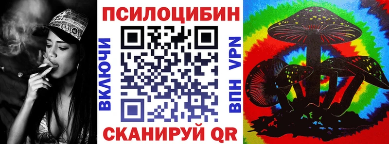 даркнет сайт  Динская  Галлюциногенные грибы Psilocybe 
